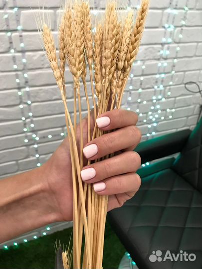 Magical place маникюр,педикюр,гель-лак