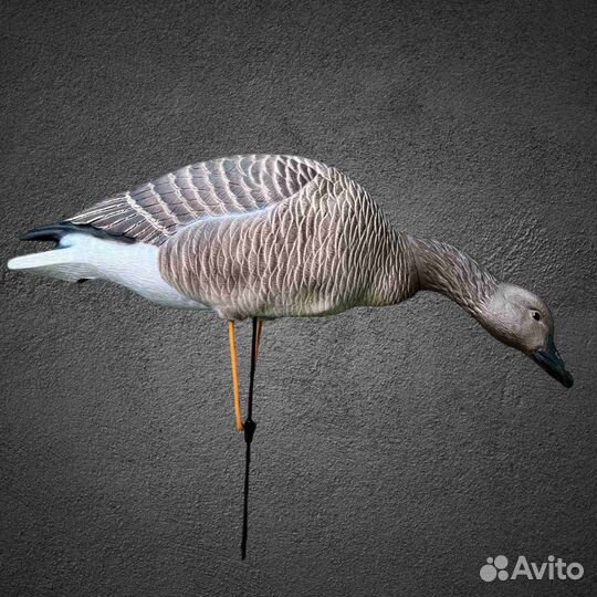 Чучела гусей гуменник Аvian-MIX 3D