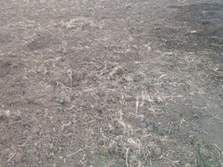 Участок 30 сот. (ИЖС)