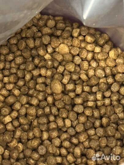 Корм для кошек GO