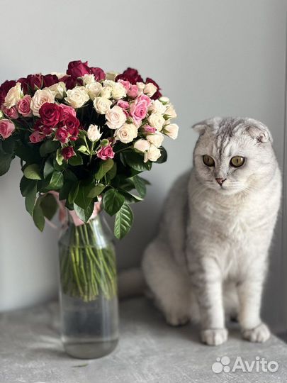 Доставка цветы и букетов