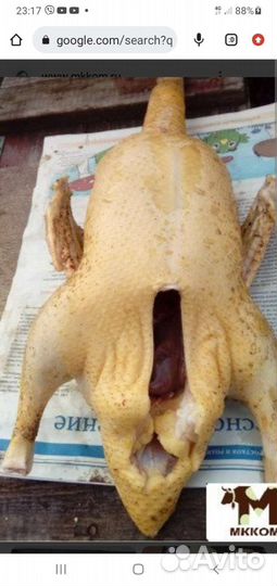 Мясо гуся, утки