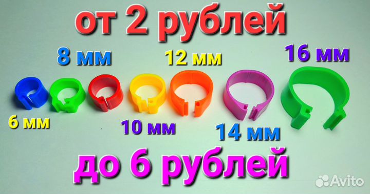 Голуби - Кольца маркерные для голубей и птиц