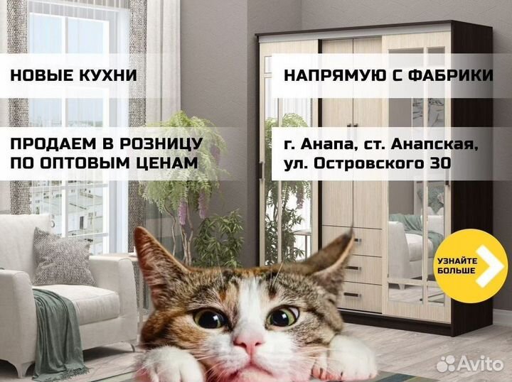 Шкаф купе. Арт.C387
