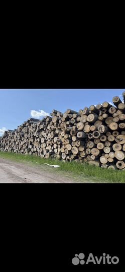 Продажа леса(кругляк)