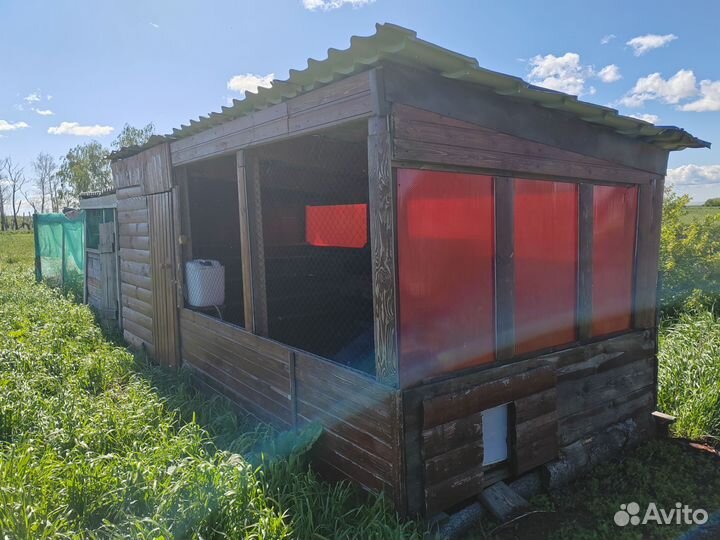 Вольер для собак для птицы