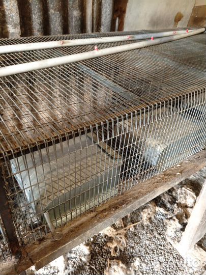 Клетка для кролика