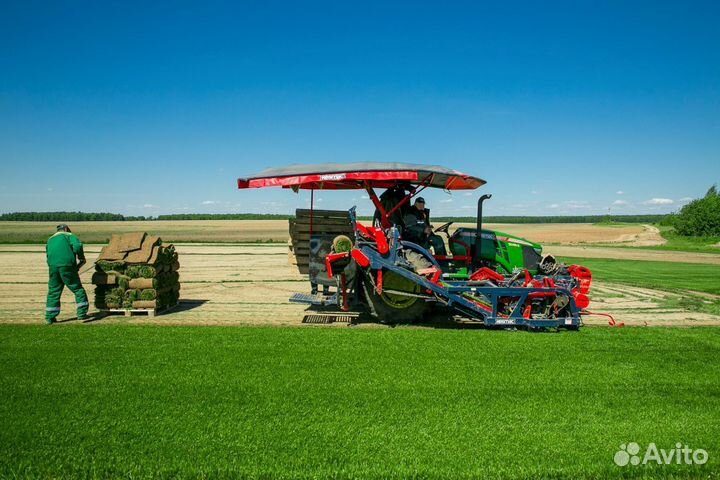 Продажа Рулонного газона, производитель