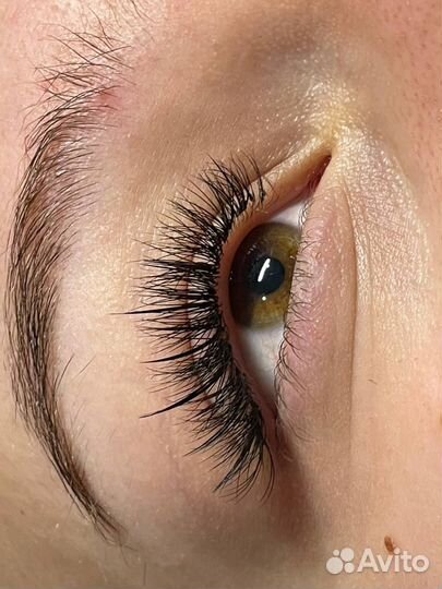 Брови/Ламинирование ресниц/ Наращивание ресниц