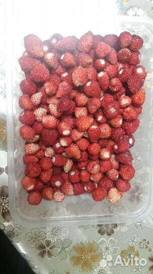 Земляника свежая