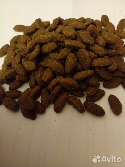 Сухой корм для собак Проплан Оптидерма Лосось