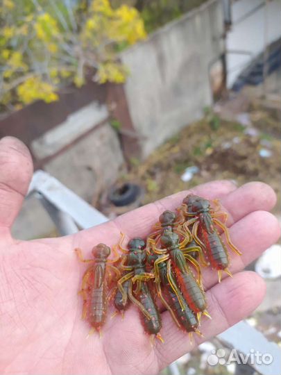 Приманки для микроджига