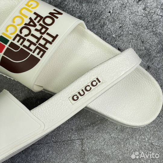 Сланцы The north face