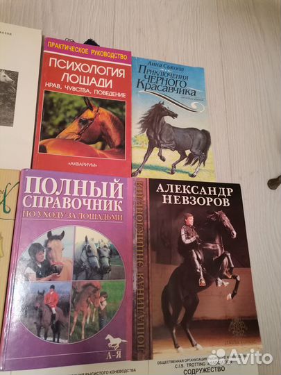 Книги о лошадях (содержание, уход)