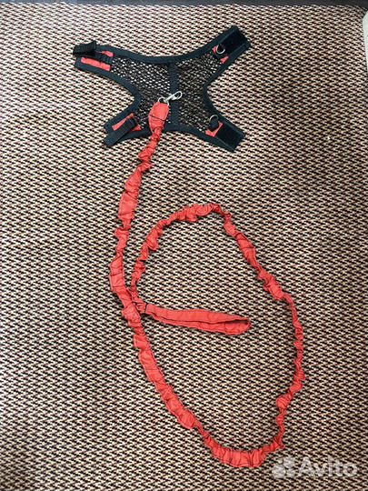 Шлейка и поводок для котёнка