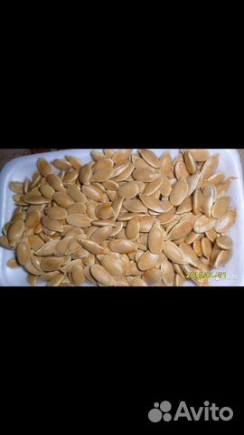 Тыква семена