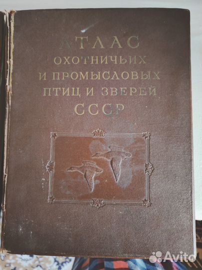 Атлас охотничьих и промысловых птиц и зверей 1953г