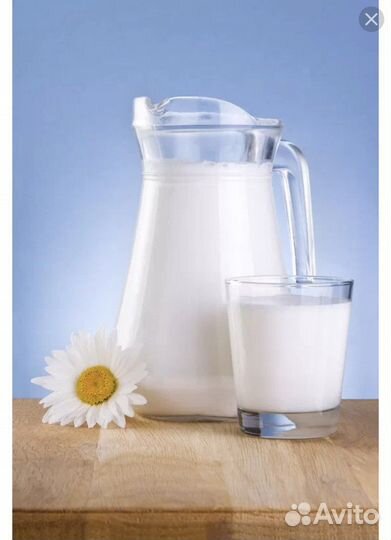 Молоко, сметана, творог, масло, сыры