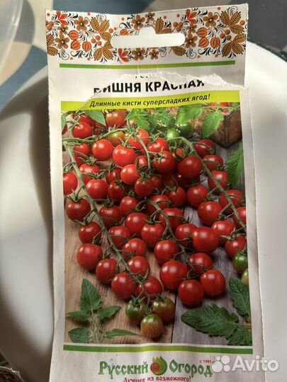 Рассада помидор 20