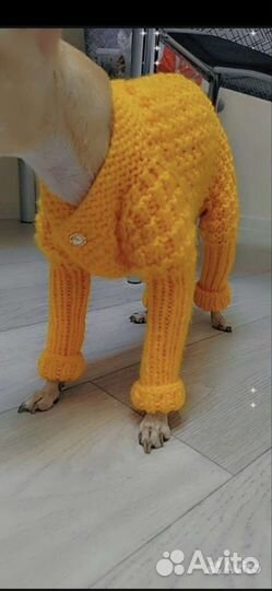 Одежда для маленьких собак