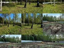 Спил и удаление деревьев расчистка участка