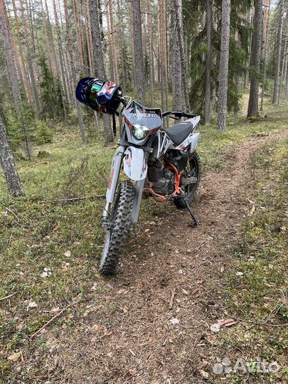 Продам progasi palma 300