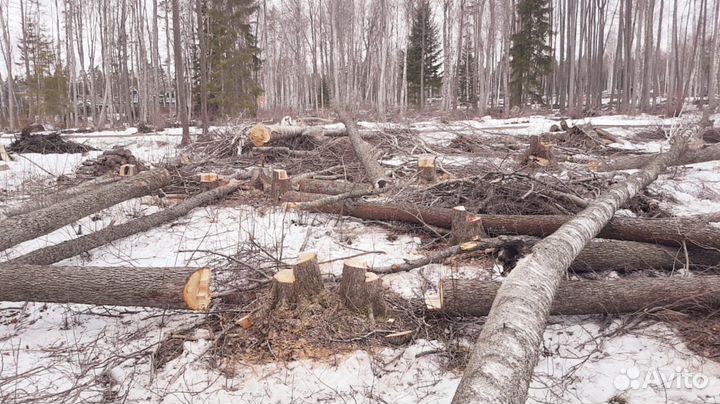 Лес кругляк на дрова