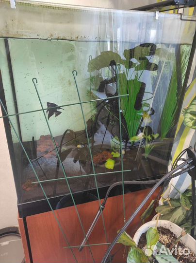 Аквариум