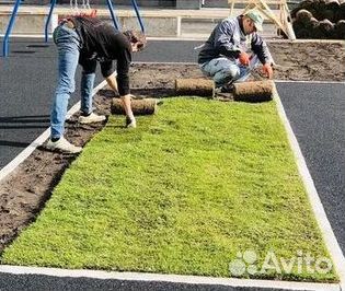 Гидропосев