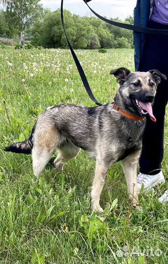 Шикарная девочка дворянских кровей