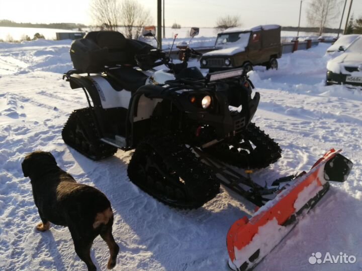 Квадр стелс леопард 600Y