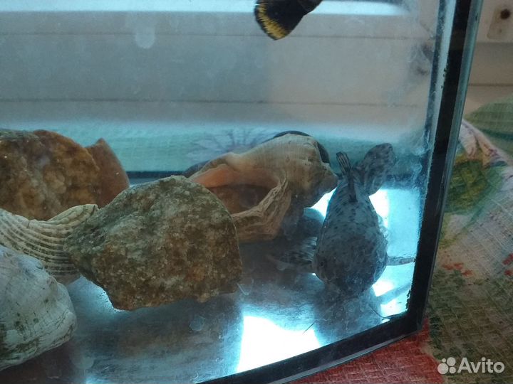 Украшение для аквариума