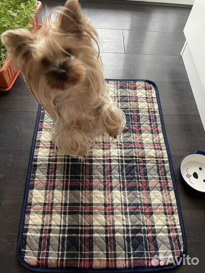 Пелёнки многоразовые для животных