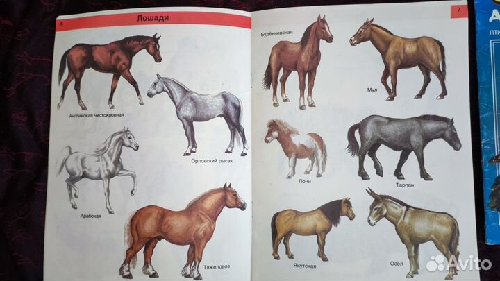 Серия тонких книг 