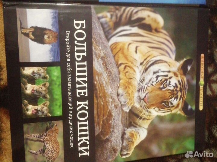 Книги животные планеты
