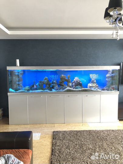 Аквариум