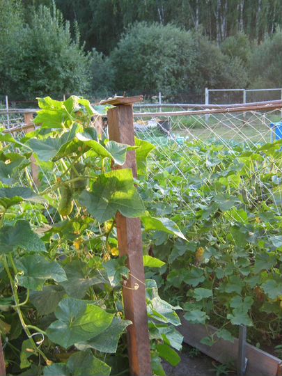 Дом 87,4 м² на участке 7,2 сот.