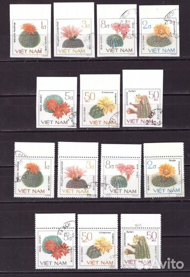 Вьетнам, 1985. Кактусы (гаш.)