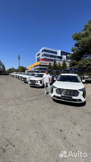 Аренда автомобилей