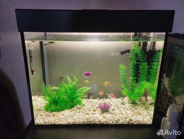 Аквариум