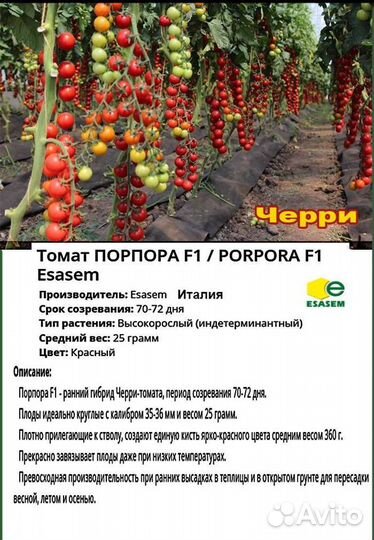 Профессиональные семена, мелкая фасовка