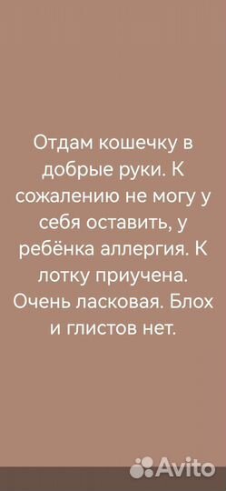 Отдам в добрые руки