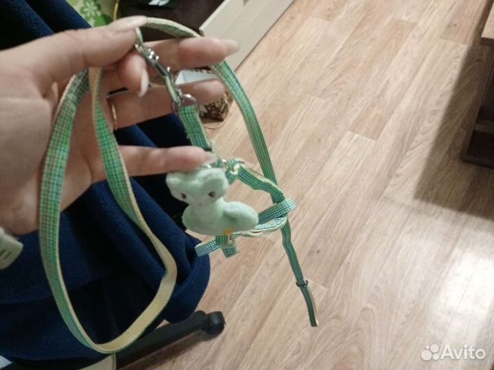 Шлейка для маленькой собаки и кошки