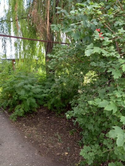 Дом 100 м² на участке 18 сот.