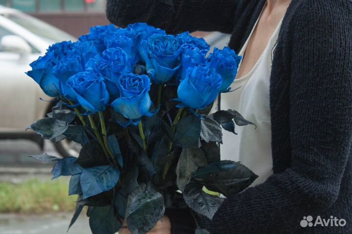 25 синих роз. Синяя роза. Челябинск 