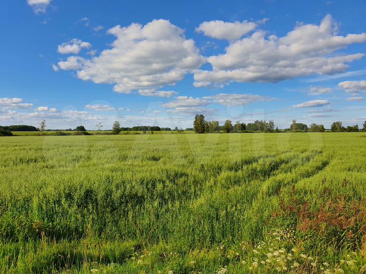 Участок 5 га (СНТ, ДНП)