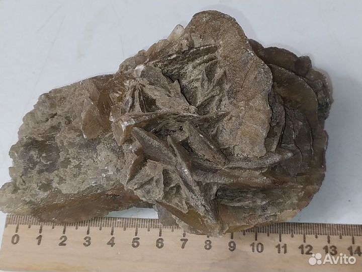 Гипсовая роза