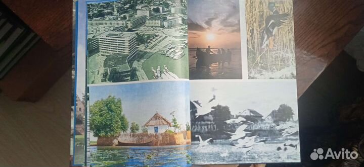 Книга Вольный Дунай