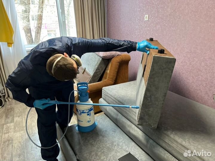 Уничтожение клопов тараканов насекомых