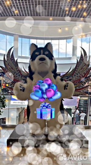 Белый Мишка Поздравление Хаски - Босс